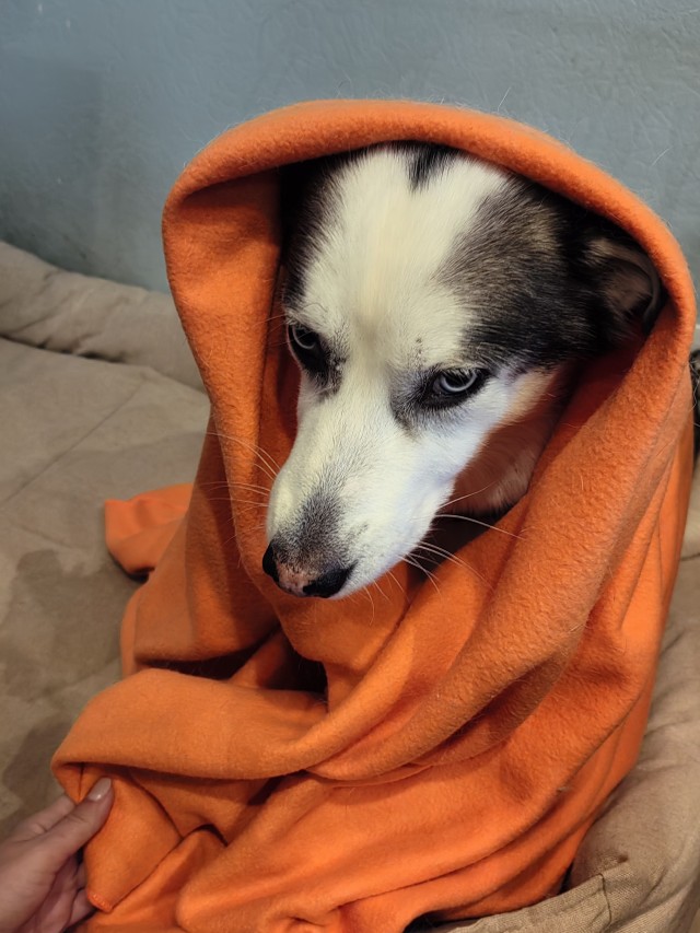 Одни, из наших лучших друзей