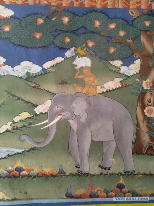 Бутан, таинственный Бутан