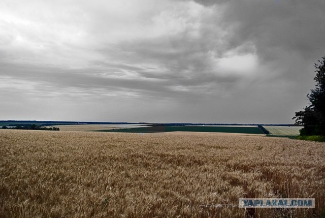 Мое случайное Запорожье