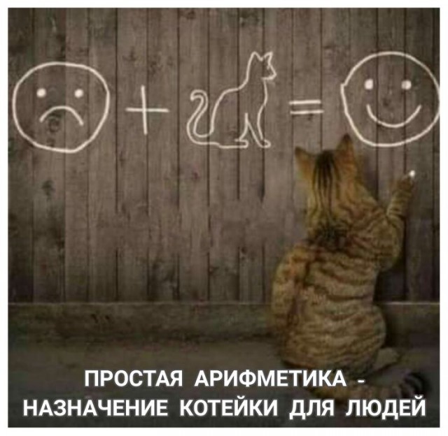 Прикольные и просто красивые картинки 06.05.2025