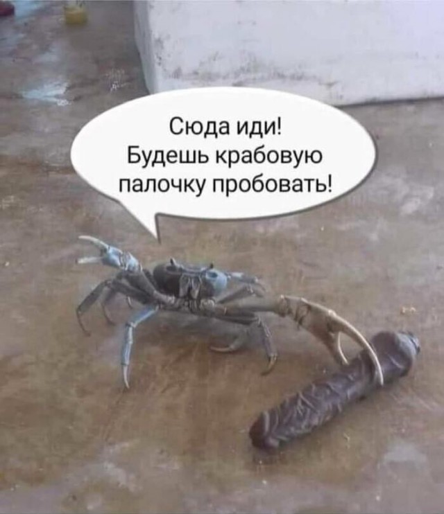 Деградильня