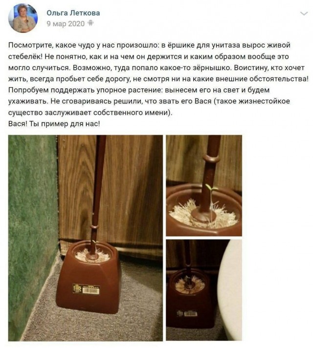 А не забыли ли мы все...