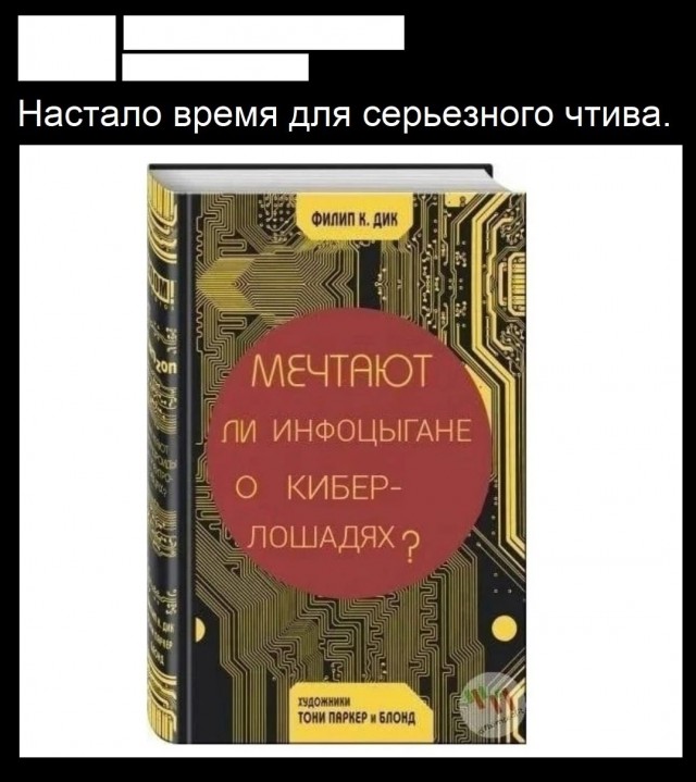 Так себе картинки 04.07.25