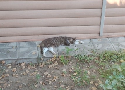 Ну, разве, не красавчег?..