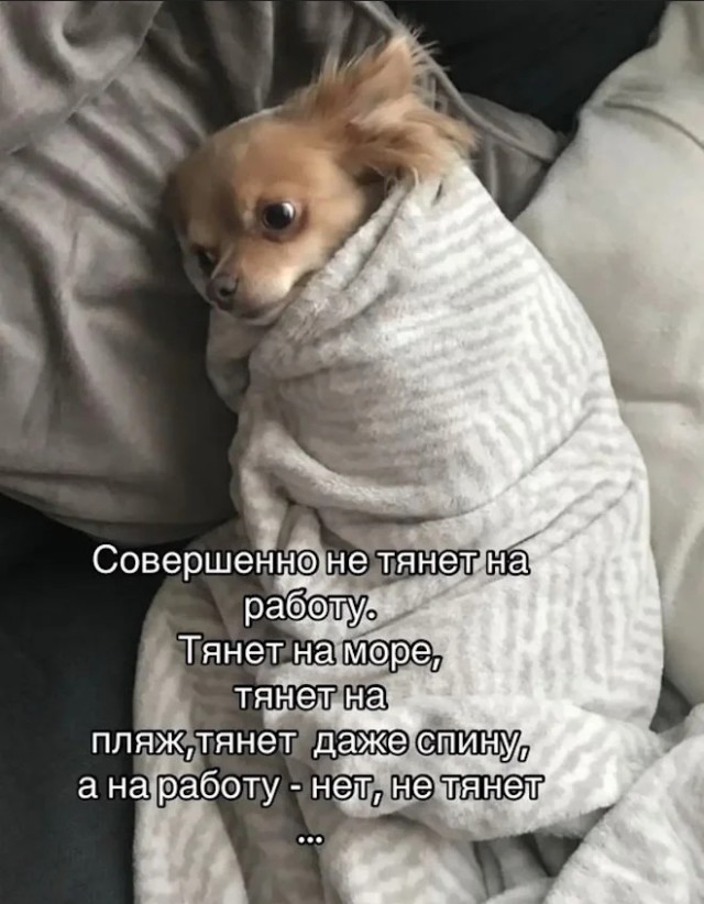 Хочу позитива