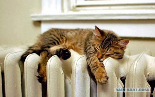 Когда включат отопление?