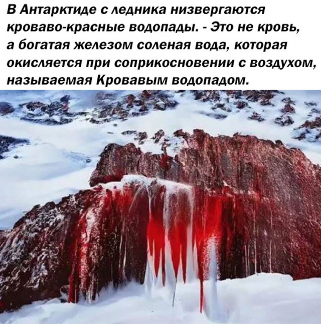 Так всякие картинки