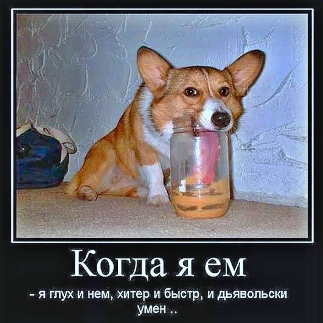 Понедельника картинки