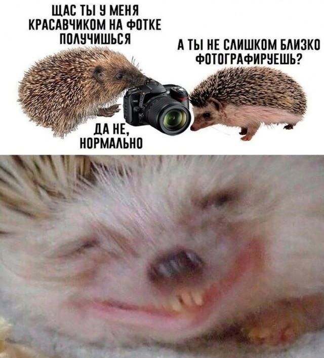 Пятницы картинки