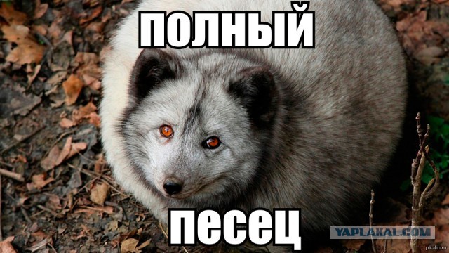 Bloomberg сообщил о поиске Россией рабочих в Индии и Шри-Ланке