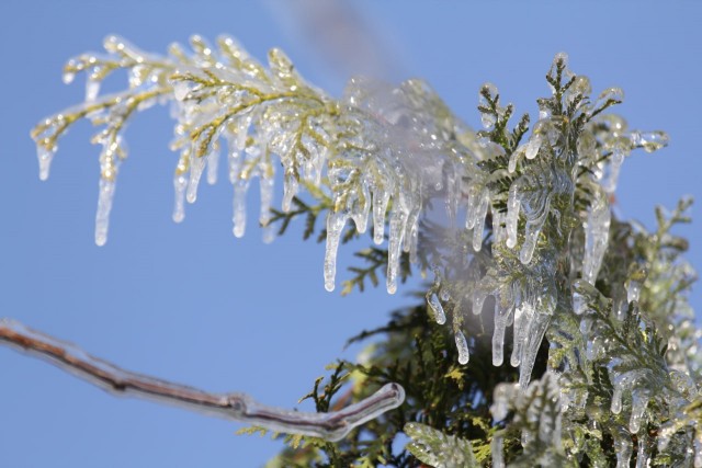 Ледяной дождь 03.05.24 (Лен.обл)