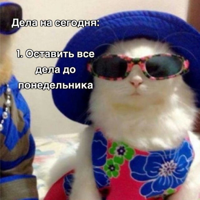 Воскресные картинки