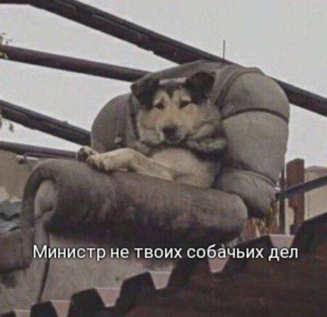 Картиночки, баянчики 14 мая