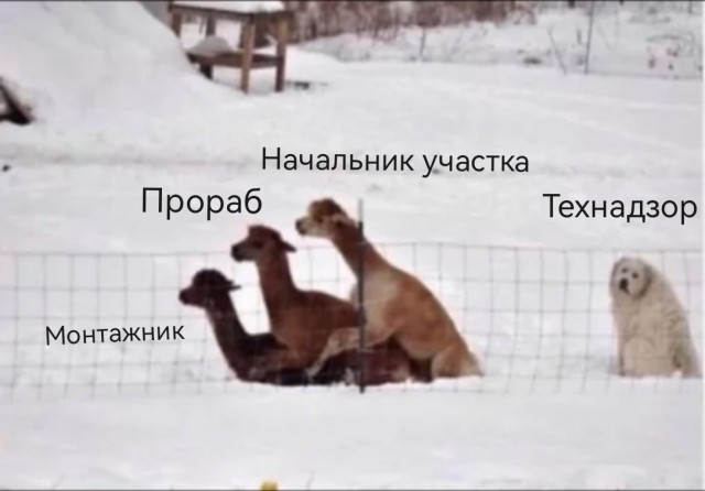 Пятничные картинки