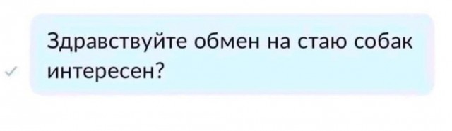 Концерт Канье Уэста