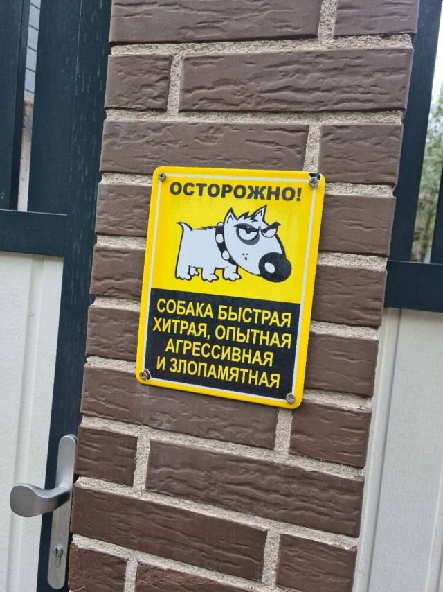 Прикольные и просто красивые картинки 25.09.2026