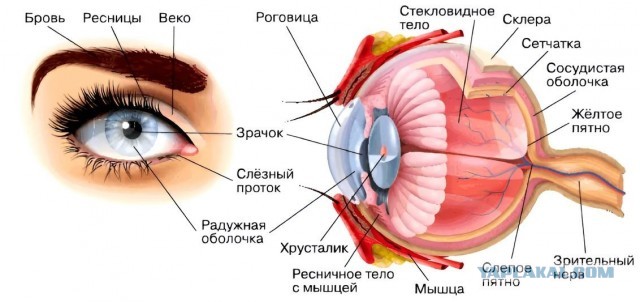 У вас бывает такое?