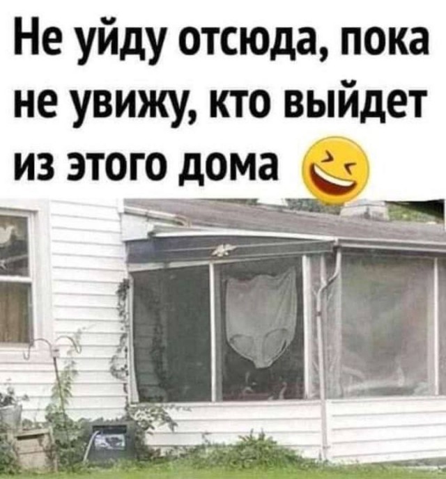 Забавные и не очень скромные картинки-40