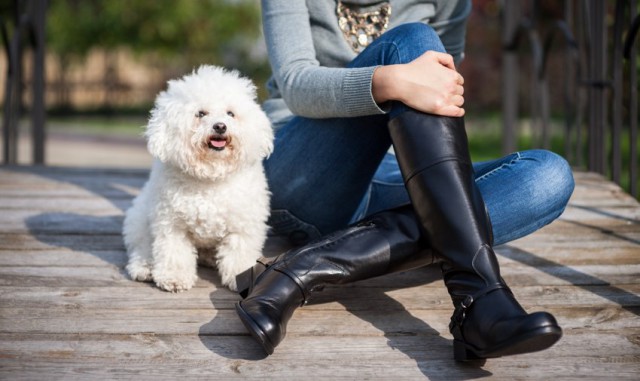 Собакочетверг на 02.01.2014