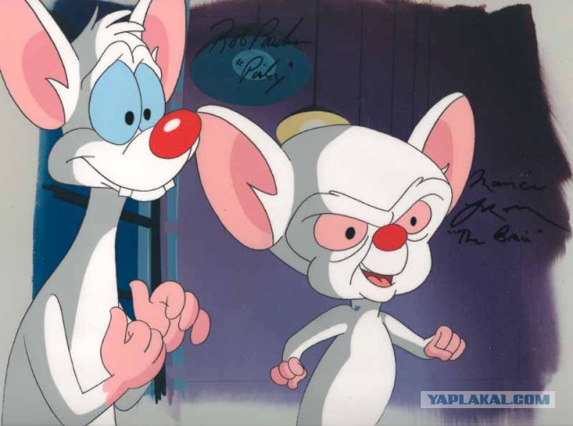 В России нет места русским.