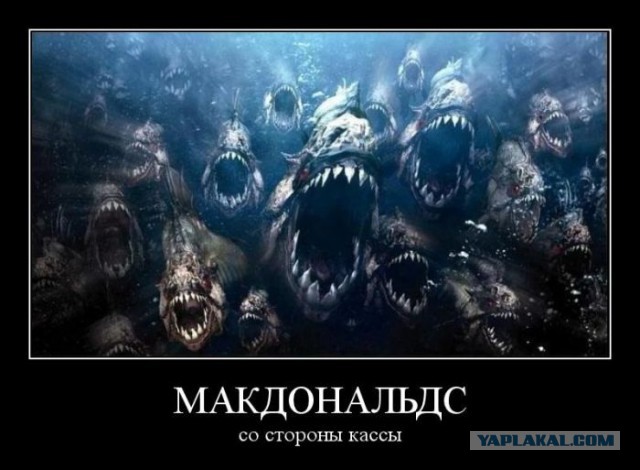 Голодные рыбы-карпы