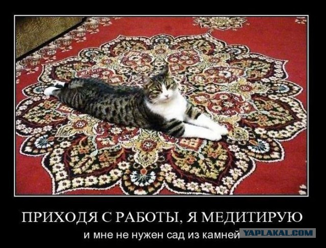 Весёлые картинки. Разбавим будни