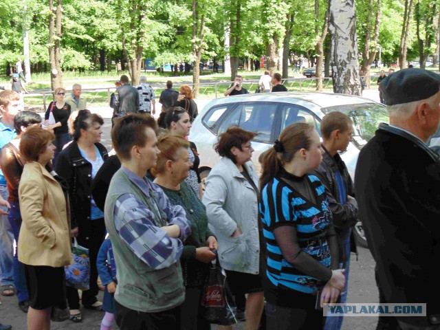 Подборка фото с референдума