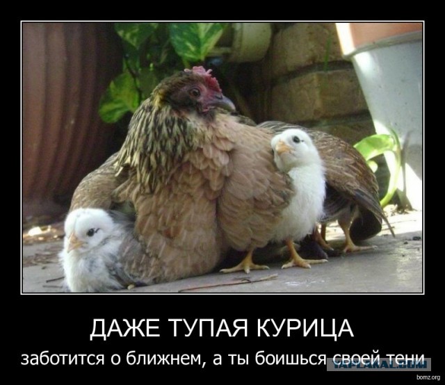 Не очень умная женщина