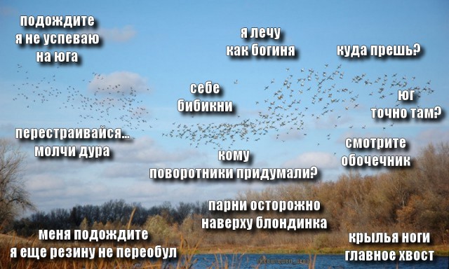 Деревенская Америка