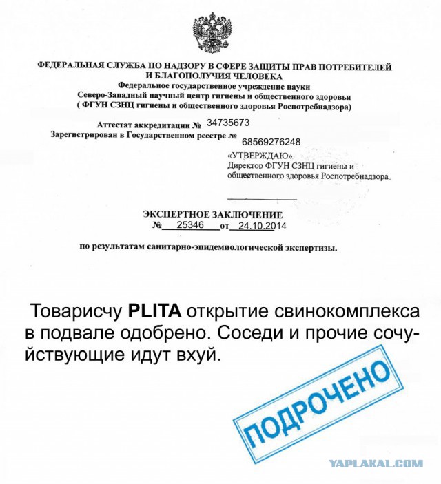 Мой подвал, мой бизнес !