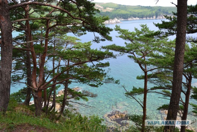 Бухта Теляковского