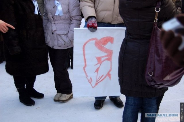 Мои фото с митинга на Болотной, прикольные лозунги