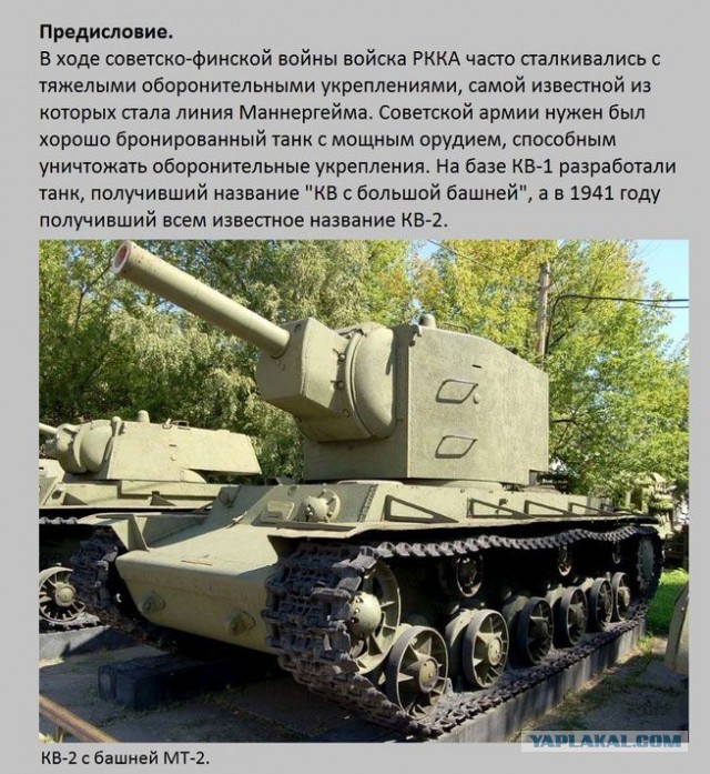 20 фактов обо всем