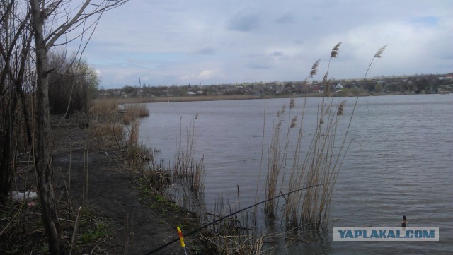 Рыбалка  в Балабино