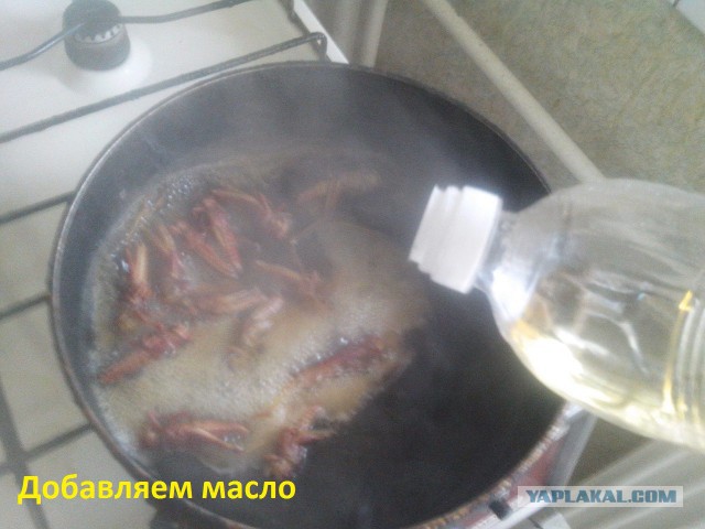 Аццкая кухня 2  (кулинарный адъ)