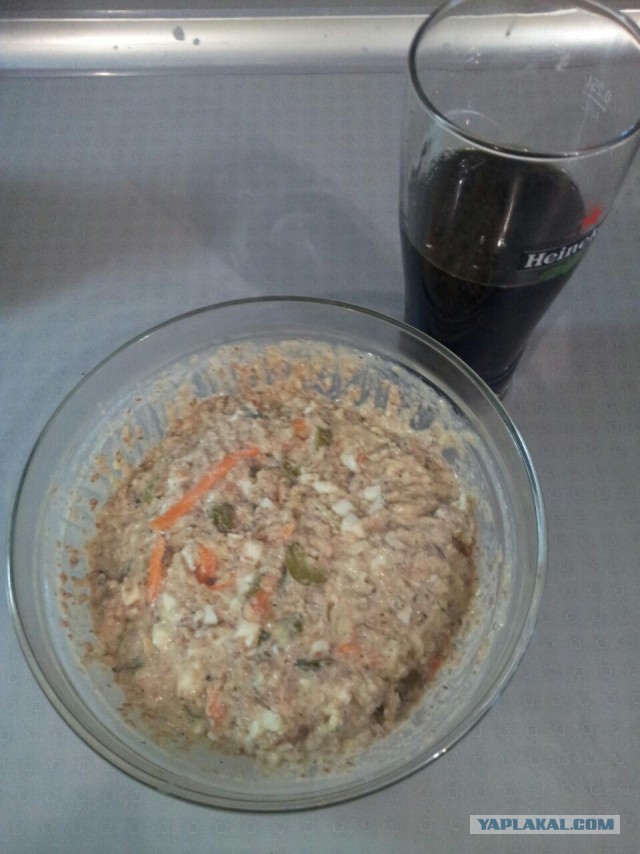 Мимоза эксперимент