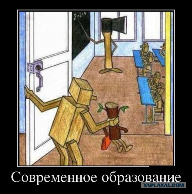 Прикольняхи