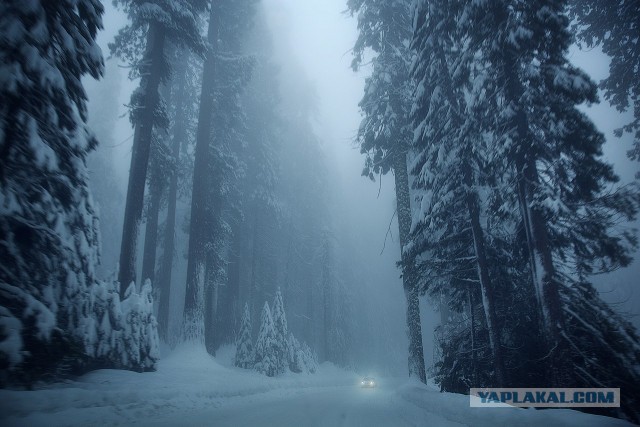 Подборка картинок 04.03.16
