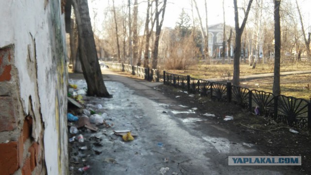 Вспомним «год всероссийской прухи»