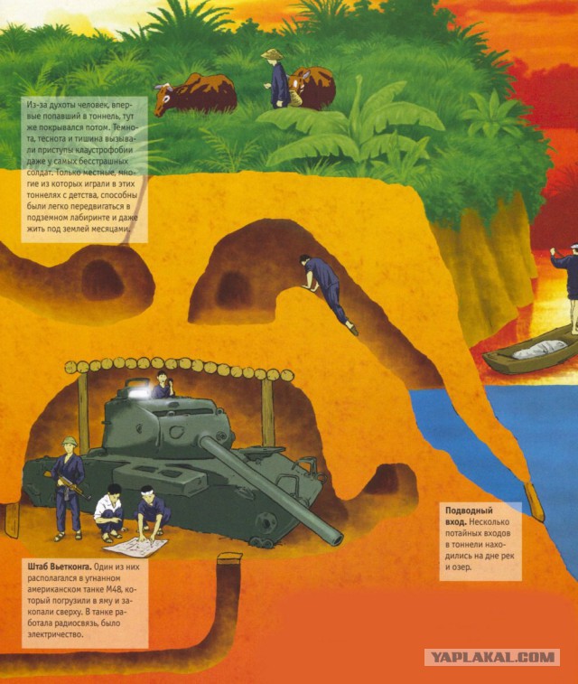 Муравьиное братство: пьяные оргии, «Поза чемоданчика» и «Не пади врагу»