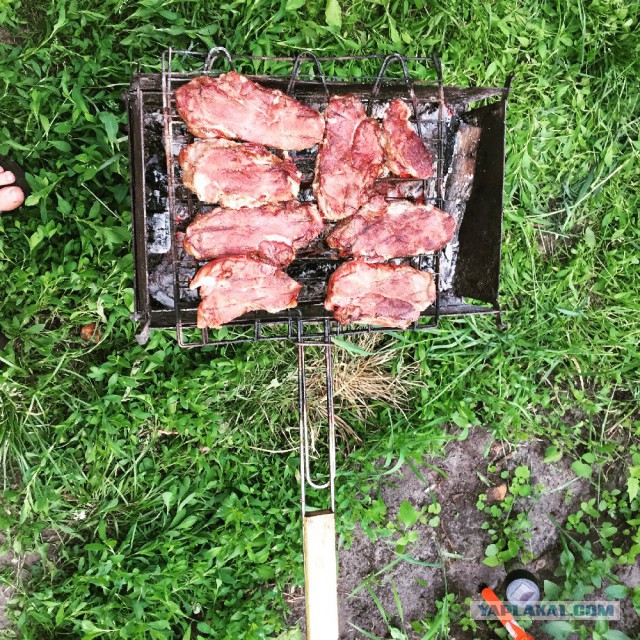 Следственный эксперимент с шашлыком
