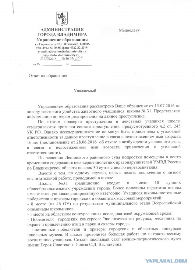 Во Владимире подростки сняли на видео жестокое убийство котёнка