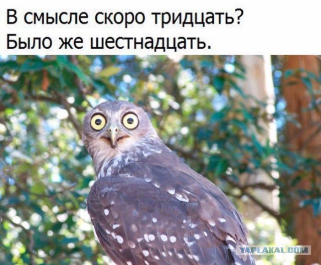 Подборка интересных и веселых картинок