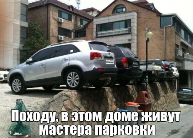 Подборка безудержного веселья