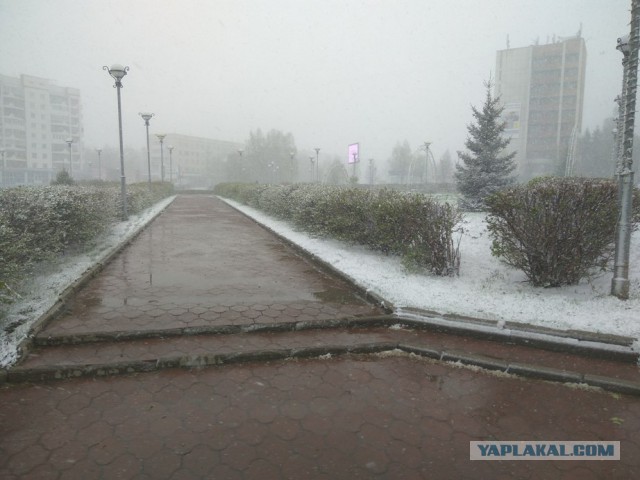 Новосибирск завалило снегом. Какой город следующий?