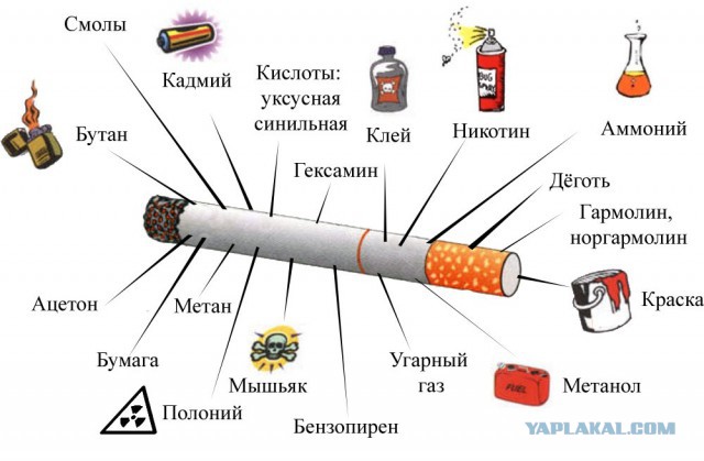 Табачники попросили Медведева сохранить в тайне состав сигарет