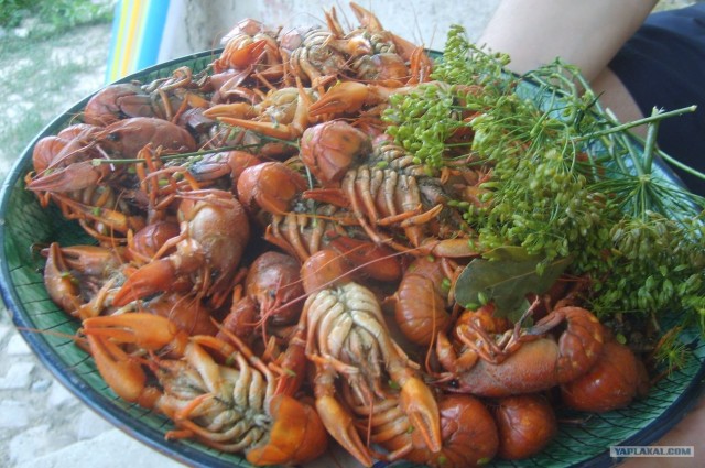 Не замужем? Вот там и оставайтесь!