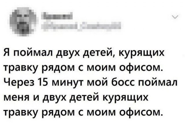 Смешные комментарии из социальных сетей 13.04.2018