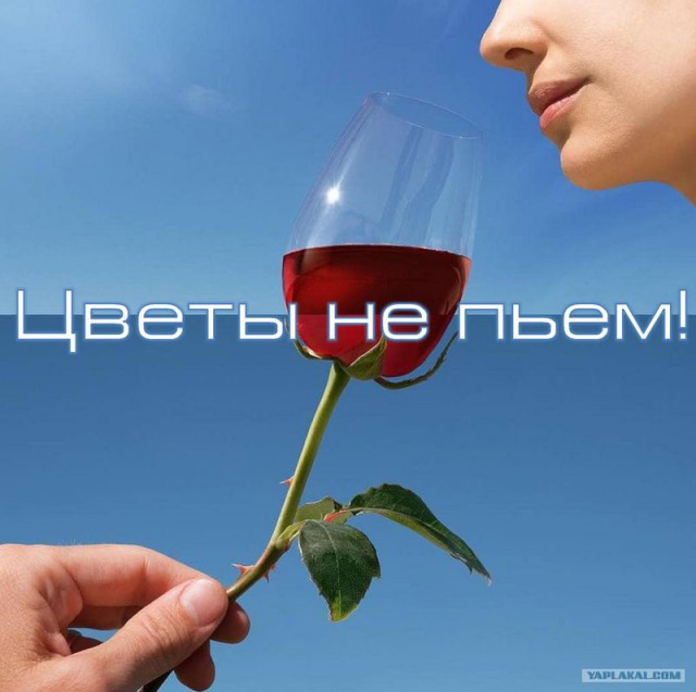 Идеальная гармония Стивена Макменнана