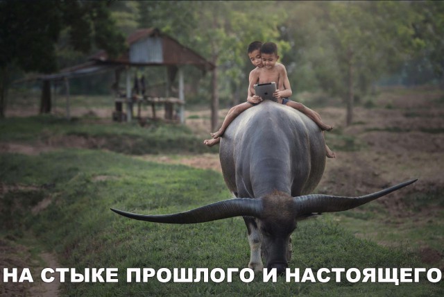 Нестандартный юмор